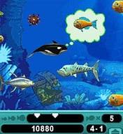 Download 'Feeding Frenzy (176x208)' to your phone